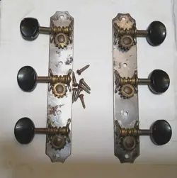 BUTTON GIBSON NAT'L