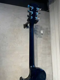 PAUL COBRA
