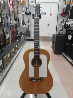 ACOUSTIC GUITAR F-25