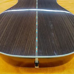 DELUXE ACOUSTIC ELECTRIC