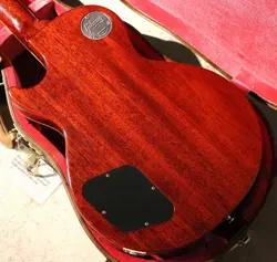 PAUL STANDARD REI