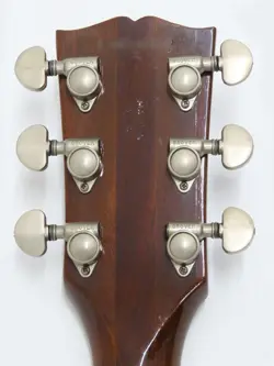 DOT 1981