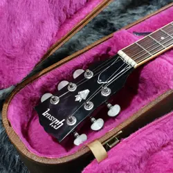DOT CHERRY NO.DG1576