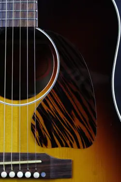 ACOUSTIC GUITAR ADIRONDACK