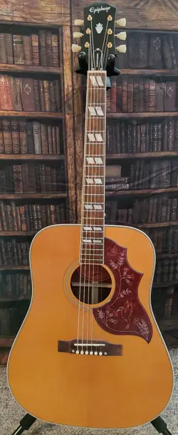 IBG ACOUSTIC/ELECTRIC