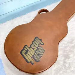 GIBSON USA GUITAR HARD CASE LES PAUL GIBSON FROM JAPAN
