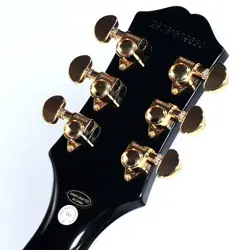 CUSTOM EBONY EPIPHONE