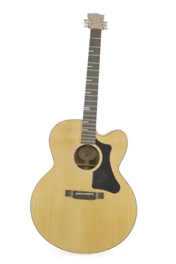 ACOUSTIC G-200 EC