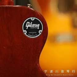PLATE COVER GIBSON