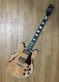FIGURED NATURAL SEMI