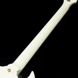 SG CUSTOM WITH