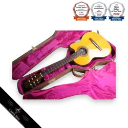 ACOUSTIC GUITAR 3.13KG