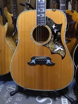 GIBSON DOVE'S IN FLIGHT 2001 ACOUSTIC GUITAR NATURAL FROM JAPAN