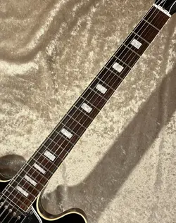 SUNBURST 2001 ELECTRIC