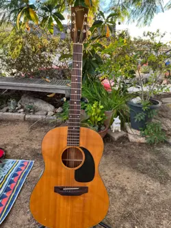 B-20 GUITAR