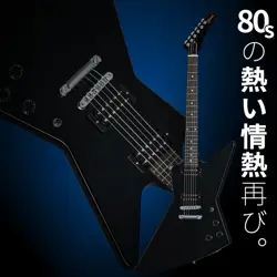 EXPLORER EBONY *NY283
