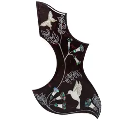 HUMMINGBIRD ACOUSTIC