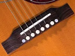 GIBSON HUMMINGBIRD HCS