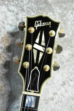WITH BIGSBY EBONY