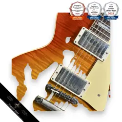 ELECTRIC GUITAR 3.74KG