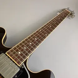 VINTAGE BURST 1995