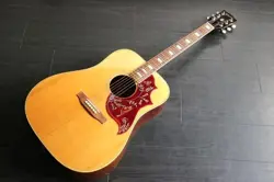 CASE 1970-1973 ACOUSTIC