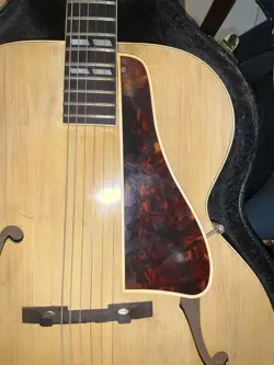 PICKGUARD ONLY