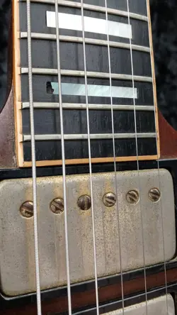 SG CUSTOM ELECTRIC