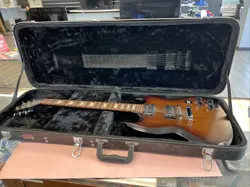 WITH CASE/STRAP