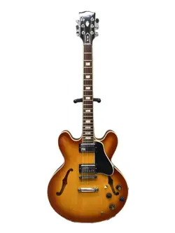CARLTON ES-335 2006