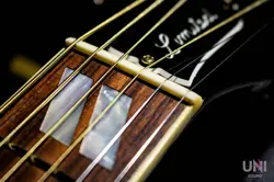 GIBSON CUSTOM SHOP LIMITED EDITION DOVE TRANS EBONY / 2016 SAFE DELIVERY FROM JA