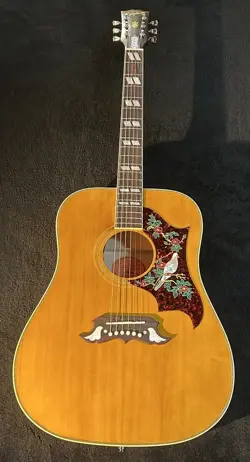 CUSTOM 1963 DOVE