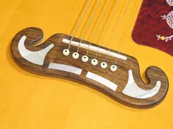 GIBSON 200