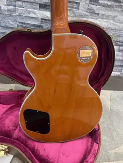 TIGER ELECTRIC GUITAR!