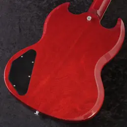 SG STANDARD 61