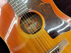 DELUXE ACOUSTIC GUITAR