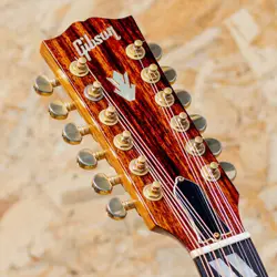12STRINGS 2009