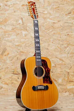 DELUXE 12STRINGS 2009