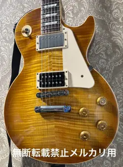 PAUL TRADITIONAL PLUS