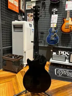 EBONY BURST