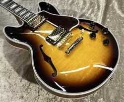 VINTAGE SUNBURST 2023