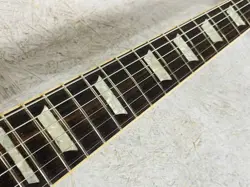 PAUL STANDARD PLUS