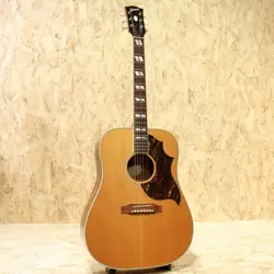 SIGNATURE MODEL
