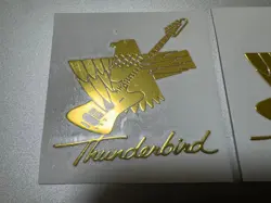 2PCS GIBSON THUNDERBIRD