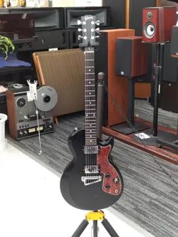 CUSTOMSPECIAL LES PAUL