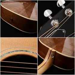 GIBSON J-15
