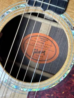 ELECTRIC GUITAR W/OHSC