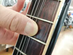 SEMI-ACOUSTIC