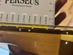 CASE INCLUDED