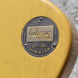 LES PAUL SPECIAL